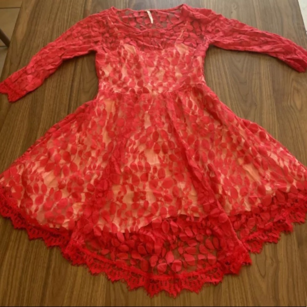 Free People Romantic Rose Petal Mesh Dress